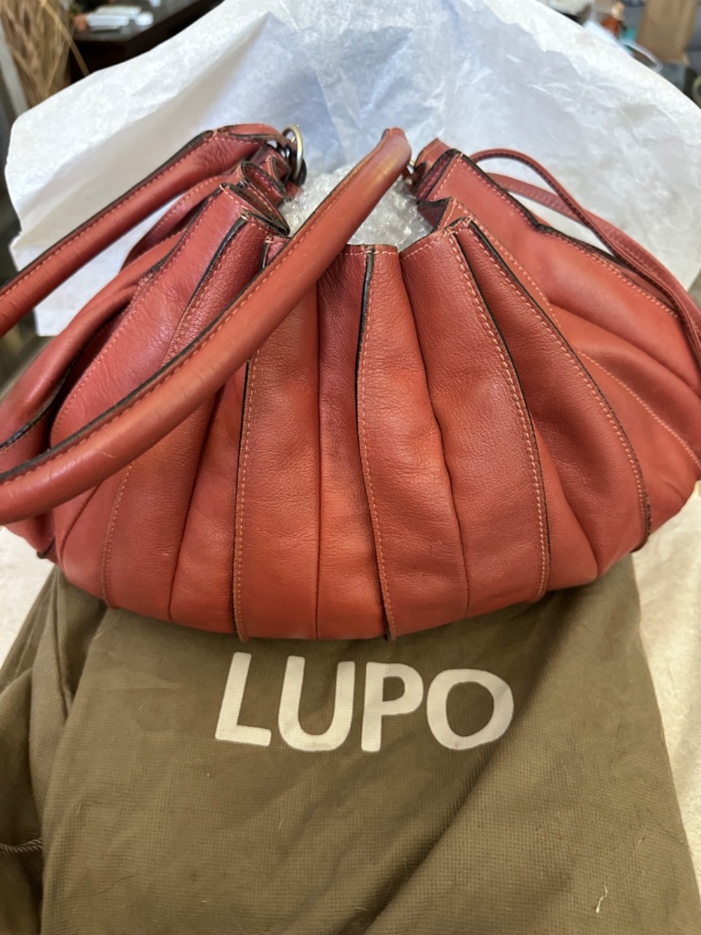Lupo Women's Red Leather Hobo Bag